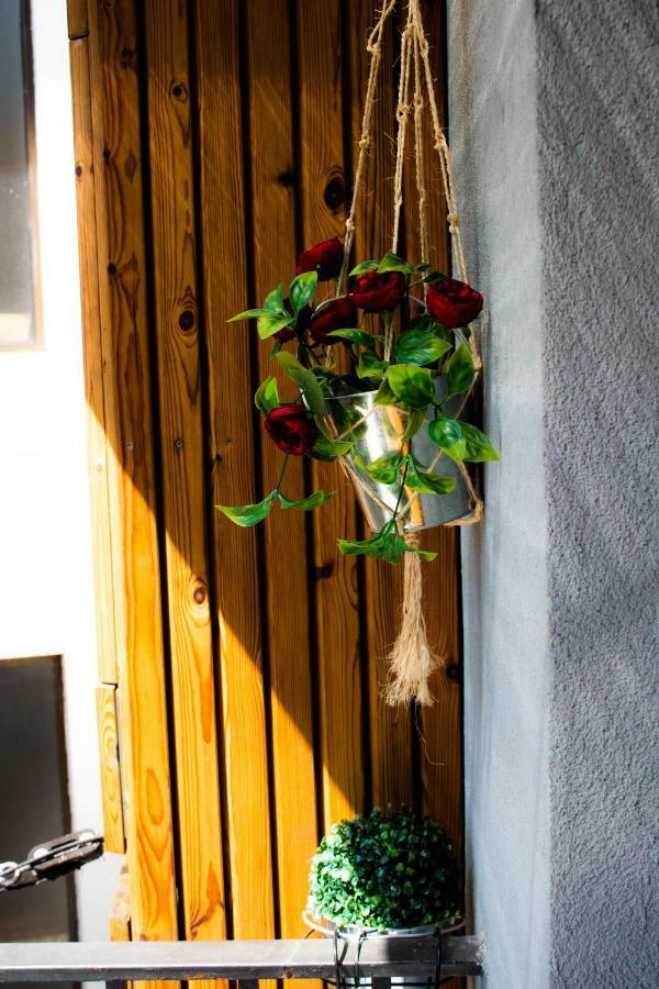 Refúgio da Vila - Refuge of the Village Vouzela Exterior foto